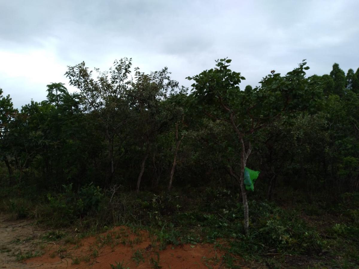 Lote, Zona Rural, 0 Quarto, 0 Vaga