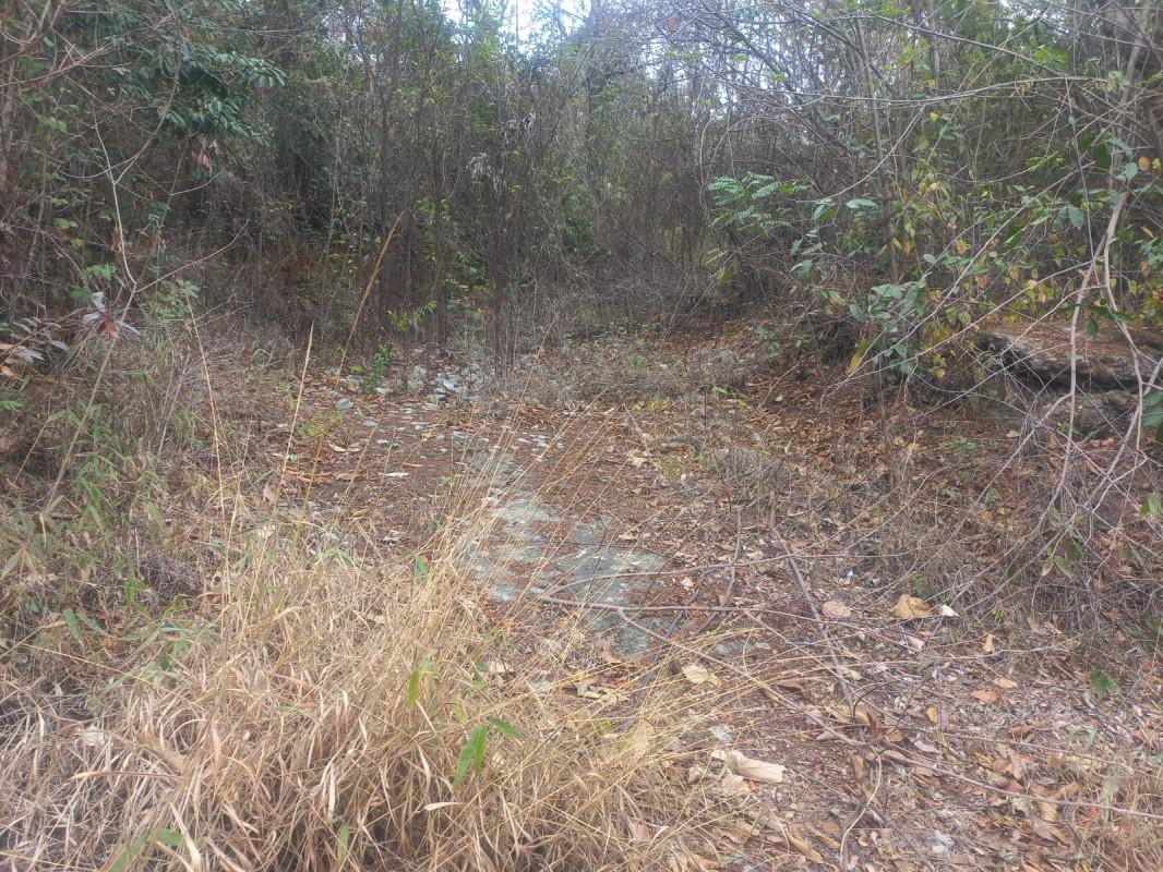 Lote, Gentileza, 0 Quarto, 0 Vaga