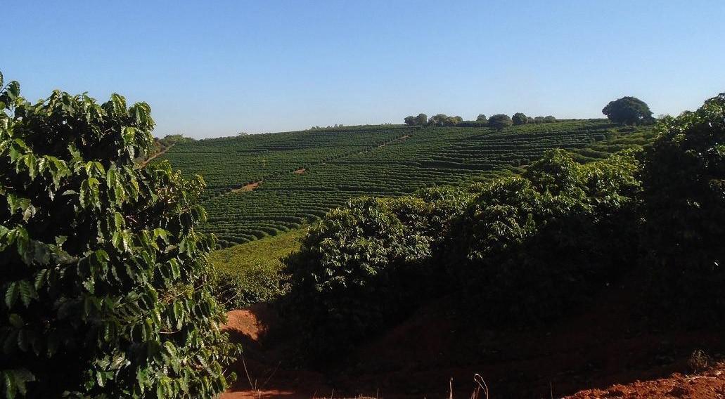 Fazenda, Zona Rural, 4 Quartos, 0 Vaga