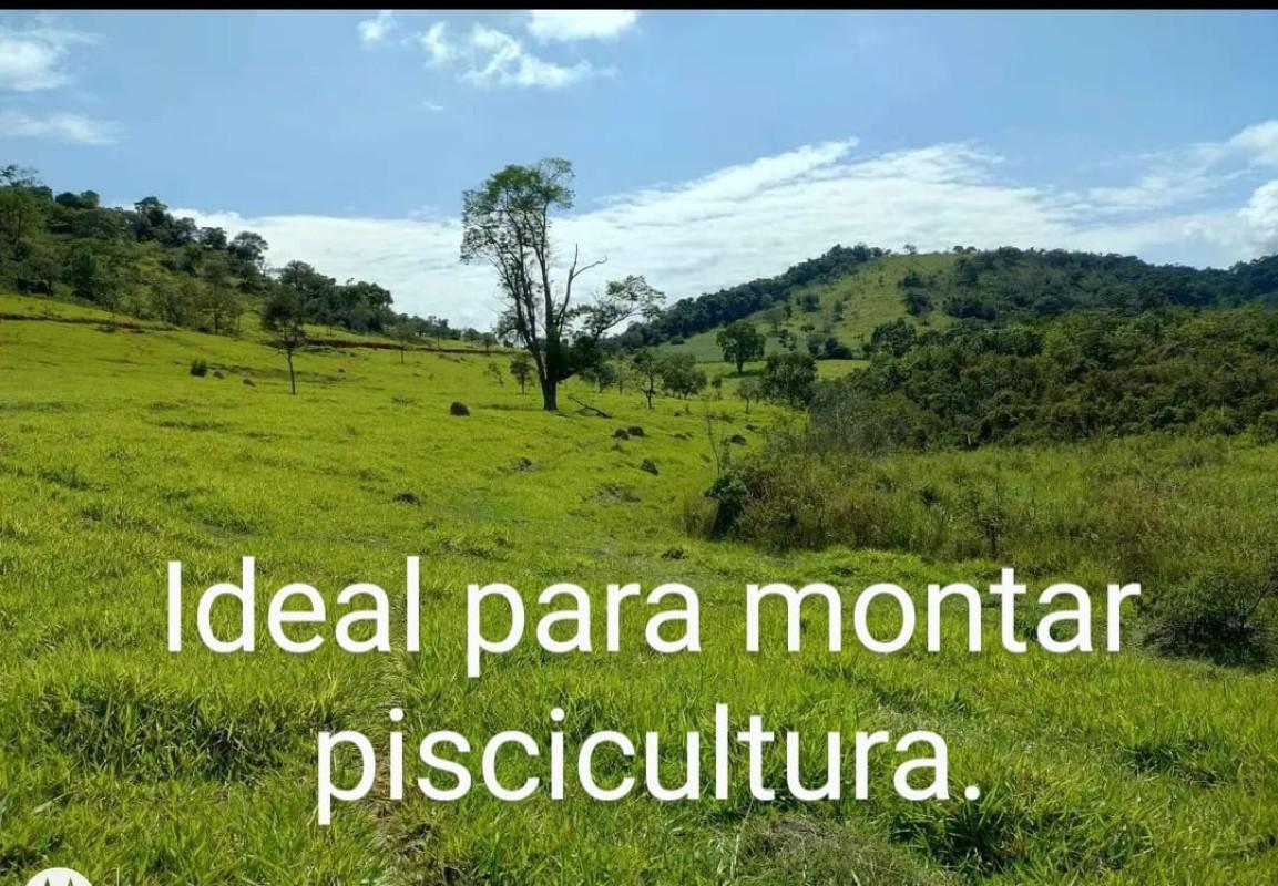 Lote, Centro, 0 Quarto, 0 Vaga