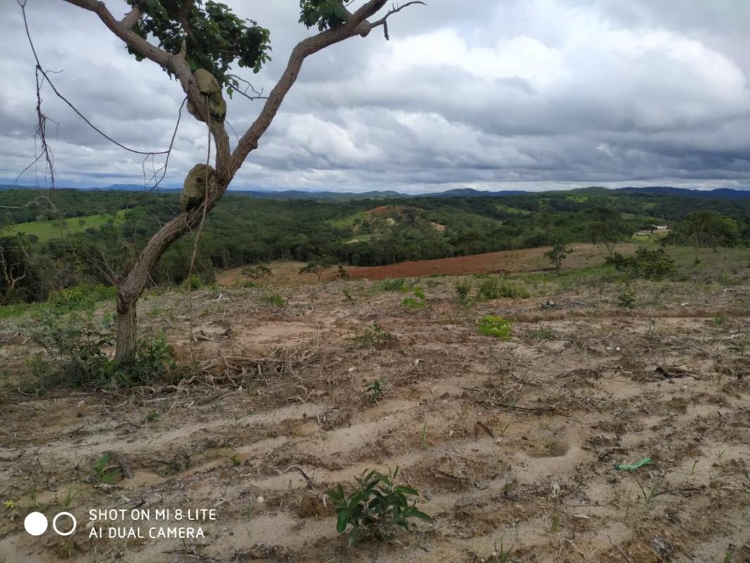Fazenda, Coração de Jesus, 3 Quartos, 0 Vaga