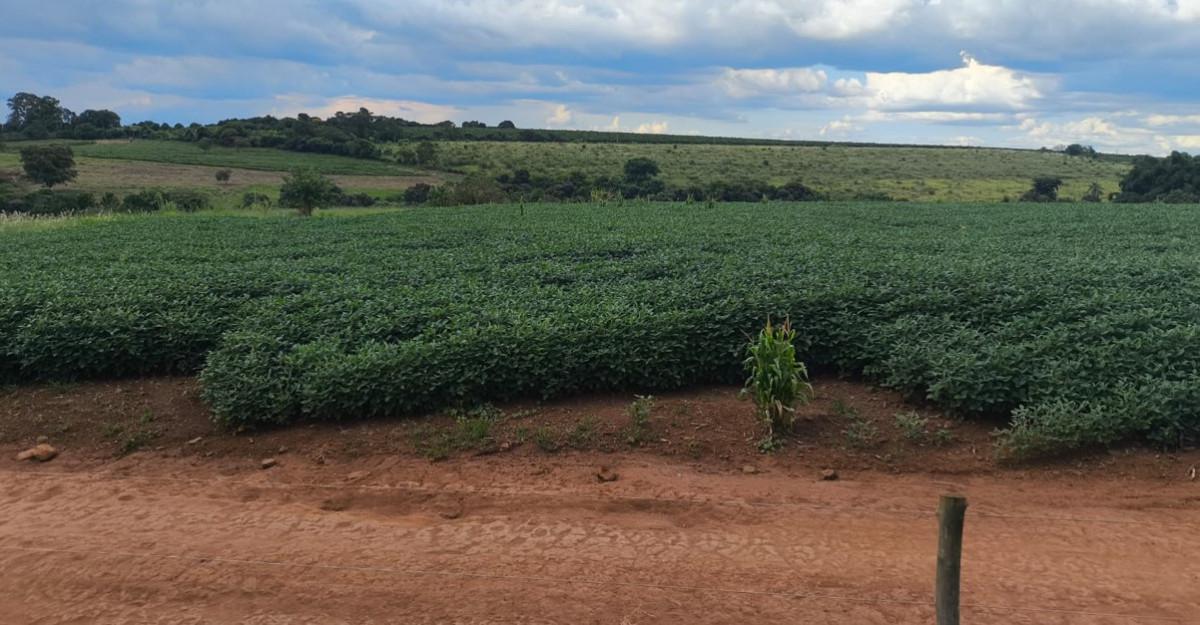 Fazenda, Zona Rural, 0 Quarto, 0 Vaga