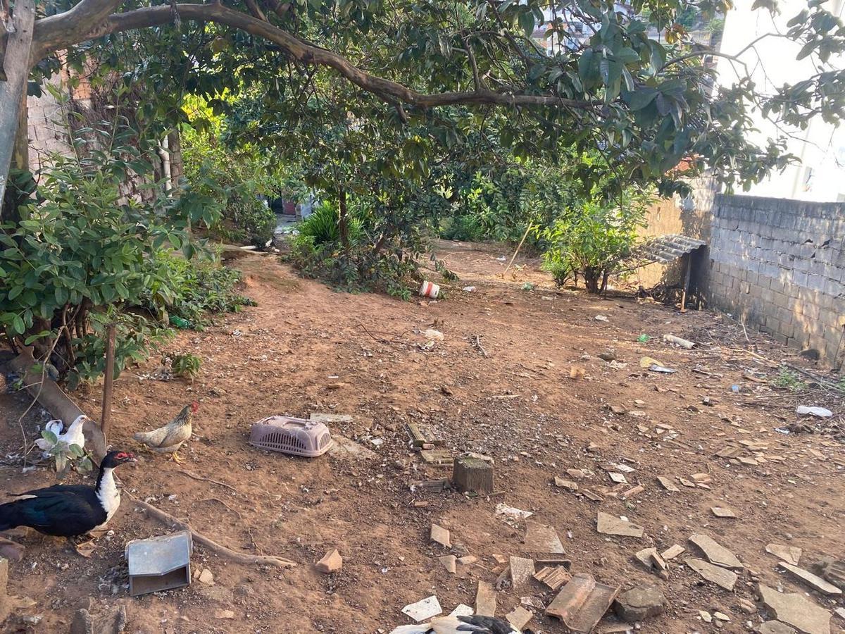 Lote, Três Bicas, 0 Quarto, 0 Vaga