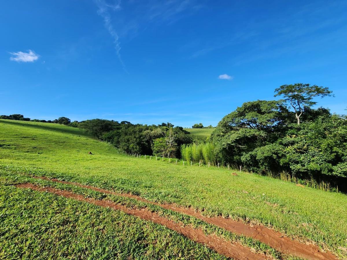 Fazenda, Centro, 4 Quartos, 0 Vaga
