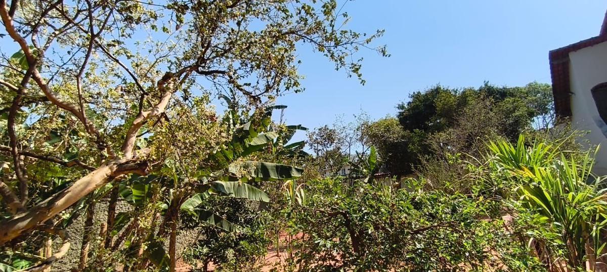 Lote, São Bernardo, 0 Quarto, 0 Vaga