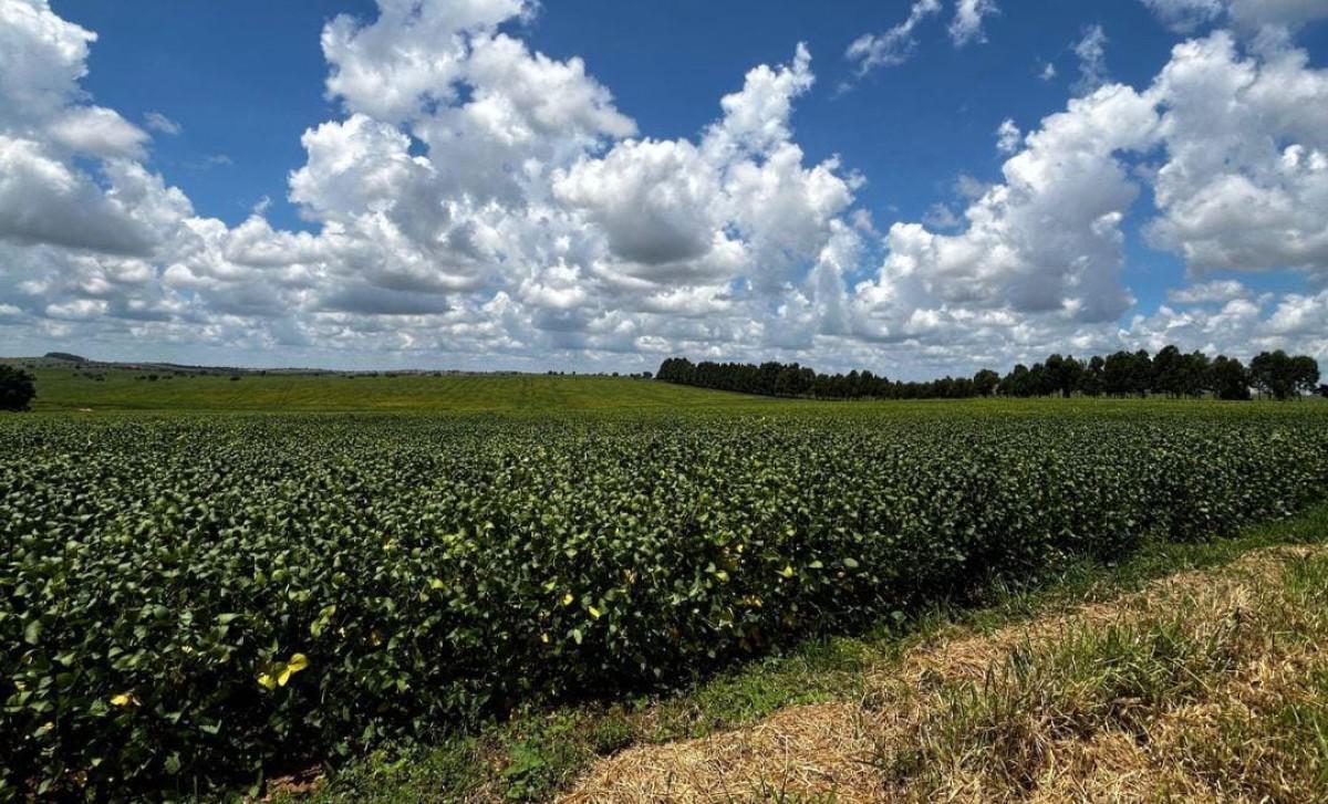 Fazenda, Centro, 0 Quarto, 0 Vaga