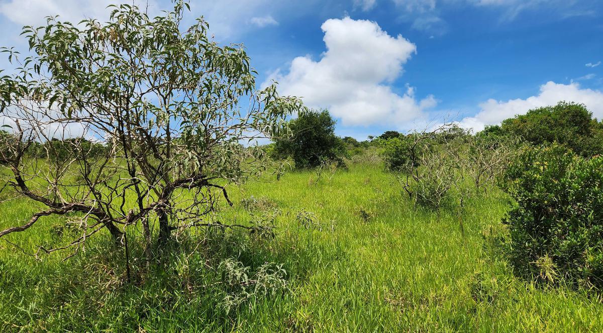 Fazenda, Zona Rural, 1 Quarto, 0 Vaga