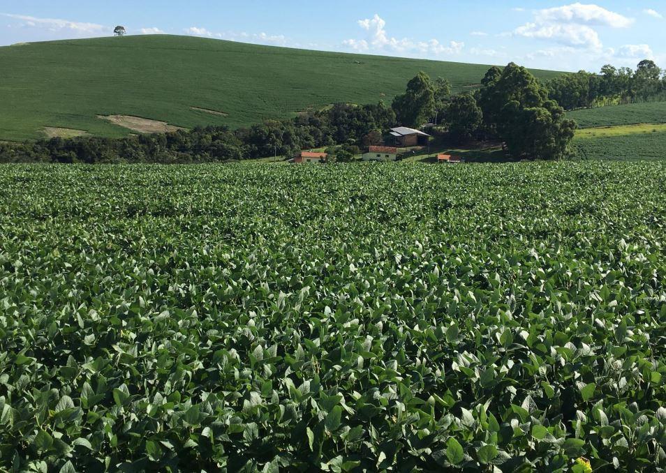 Fazenda, Zona Rural, 2 Quartos, 1 Vaga, 1 Suíte