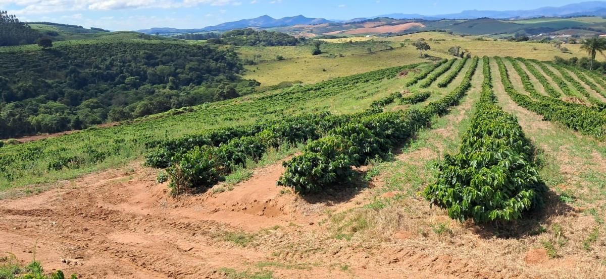 Fazenda, Zona Rural, 0 Quarto, 0 Vaga