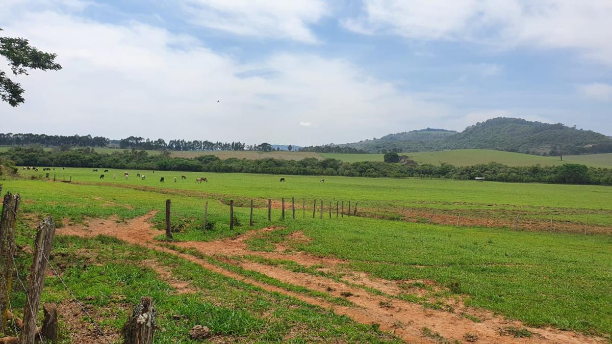 Fazenda, Zona Rural, 3 Quartos, 0 Vaga, 1 Suíte