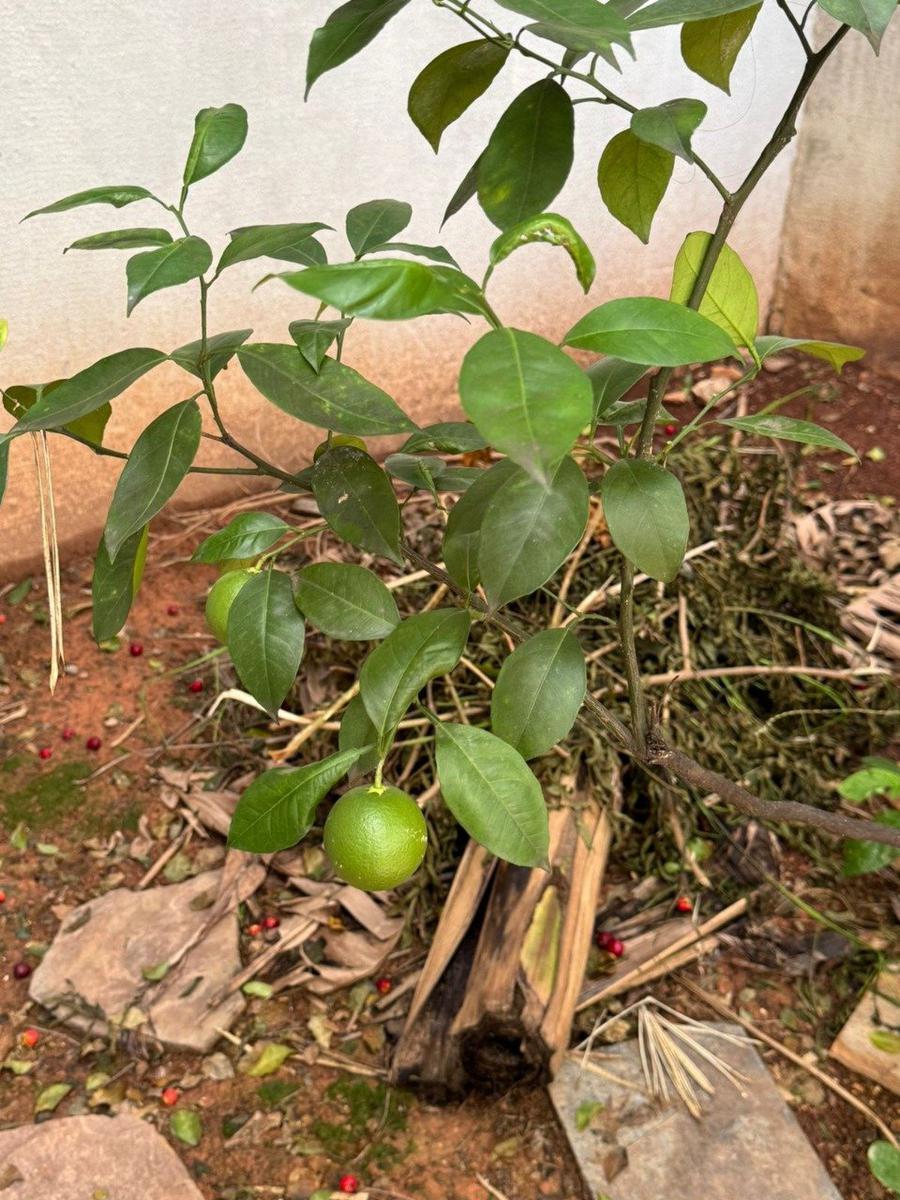 Apartamento, Sagrada Família, 1 Quarto, 1 Vaga