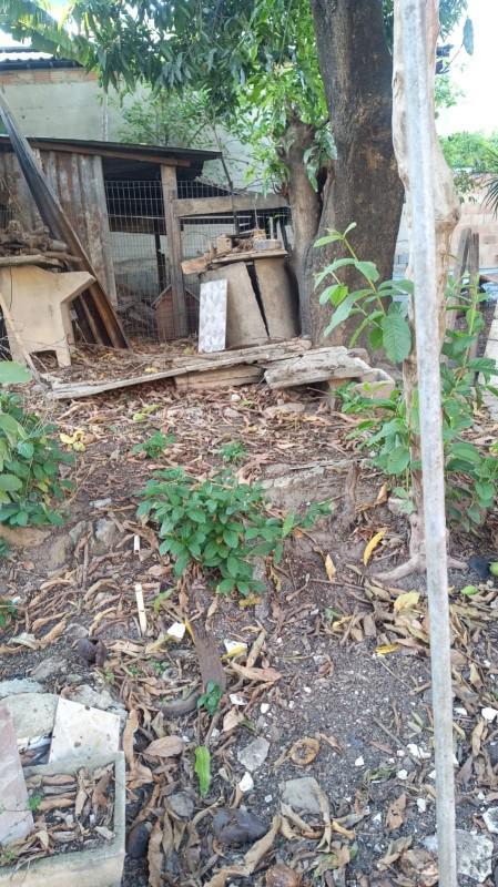 Lote, Pedra Azul, 0 Quarto, 0 Vaga