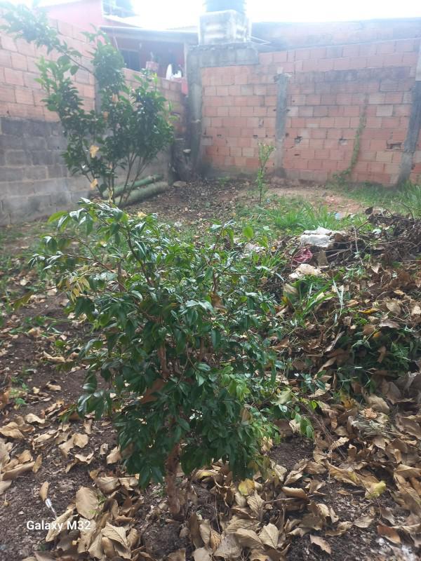 Lote, Florença, 0 Quarto, 0 Vaga