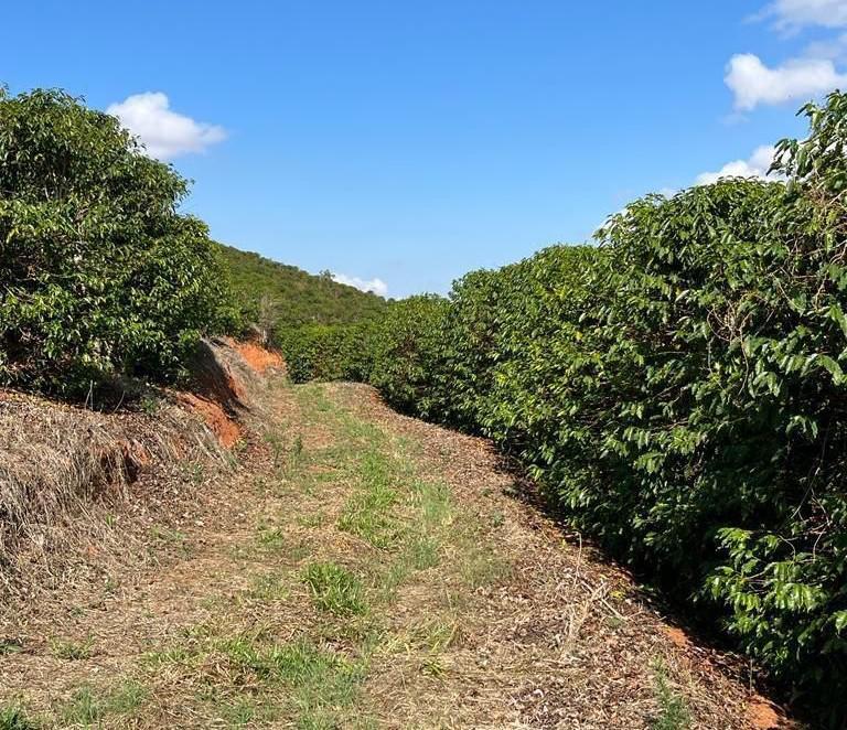 Fazenda, Zona Rural, 1 Quarto, 0 Vaga