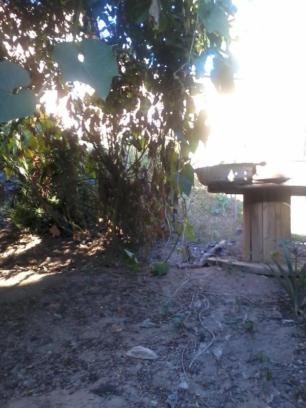 Casa, Caiçaras, 3 Quartos, 4 Vagas