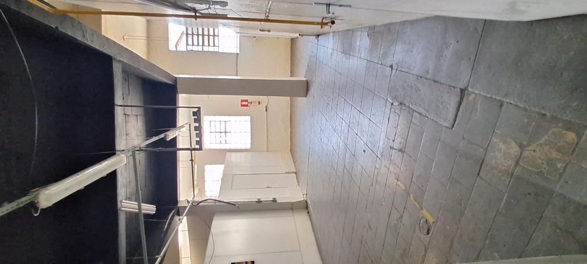 Galpão, Floresta, 0 Quarto, 6 Vagas