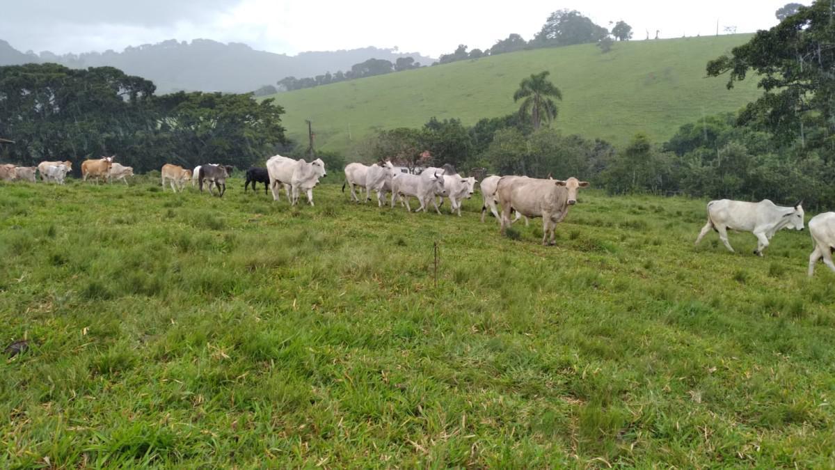 Fazenda, Zona Rural, 0 Quarto, 0 Vaga