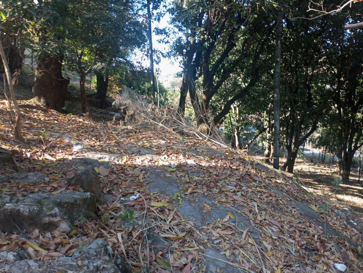 Lote, Centro, 255 Quartos, 0 Vaga