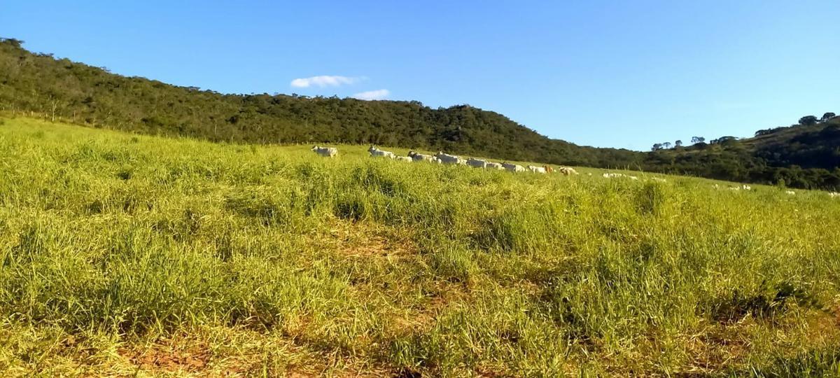 Fazenda, Zona Rural, 3 Quartos, 0 Vaga
