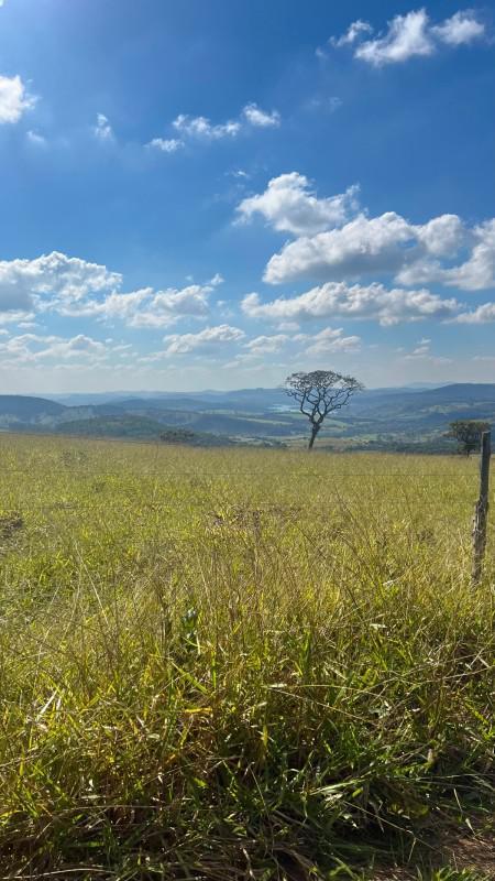 Fazenda, Centro, 0 Quarto, 0 Vaga