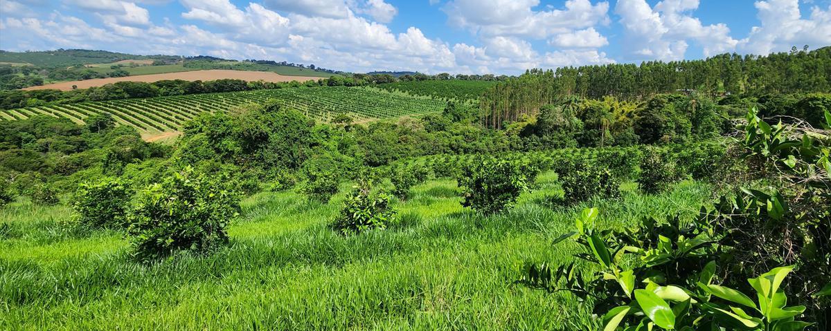 Fazenda, Zona Rural, 3 Quartos, 2 Vagas, 1 Suíte