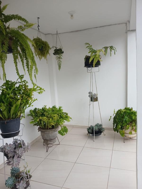 Casa, Jardim Guanabara, 4 Quartos, 8 Vagas, 3 Suítes