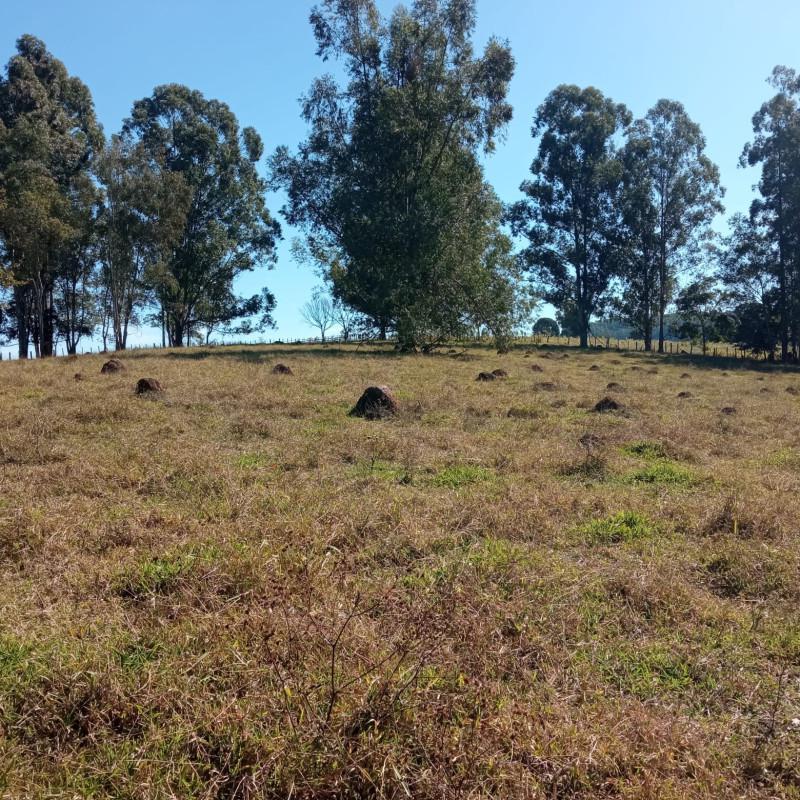 Fazenda, Zona Rural, 0 Quarto, 0 Vaga