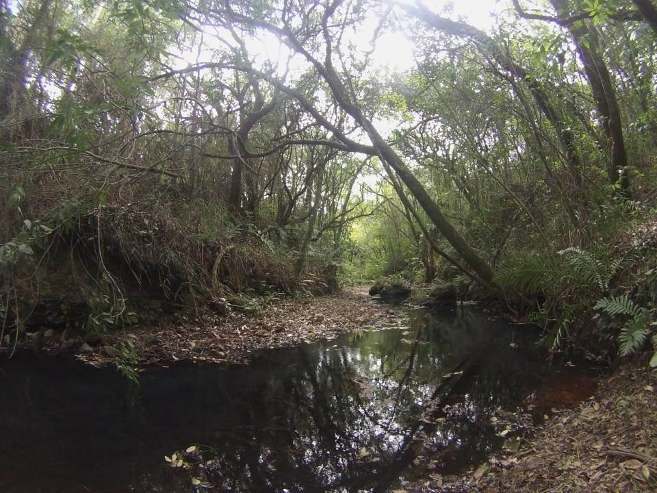 Fazenda, Centro, 1 Quarto, 0 Vaga