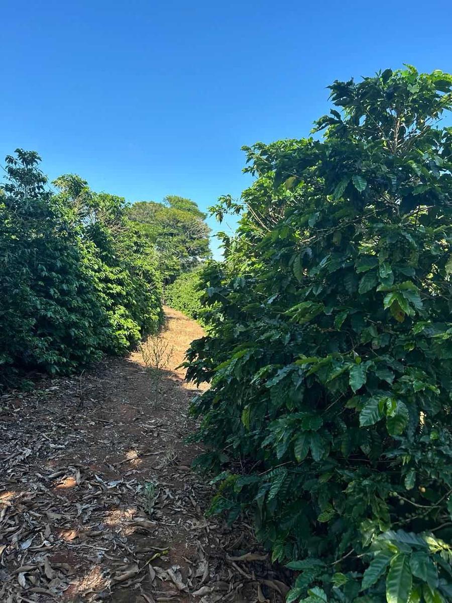 Fazenda, Zona Rural, 0 Quarto, 0 Vaga