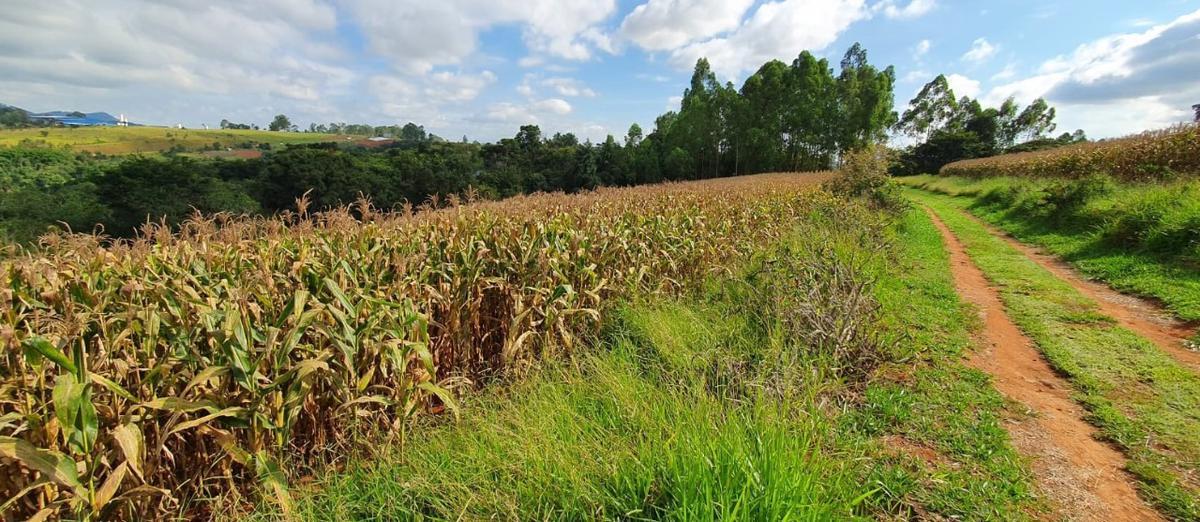 Lote, Centro, 4 Quartos, 2 Vagas