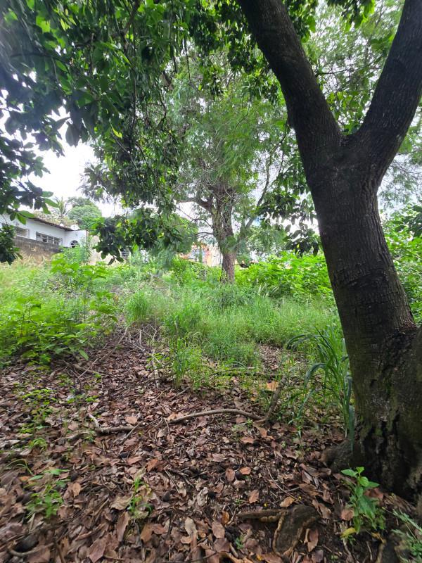 Lote, Serrano, 0 Quarto, 0 Vaga