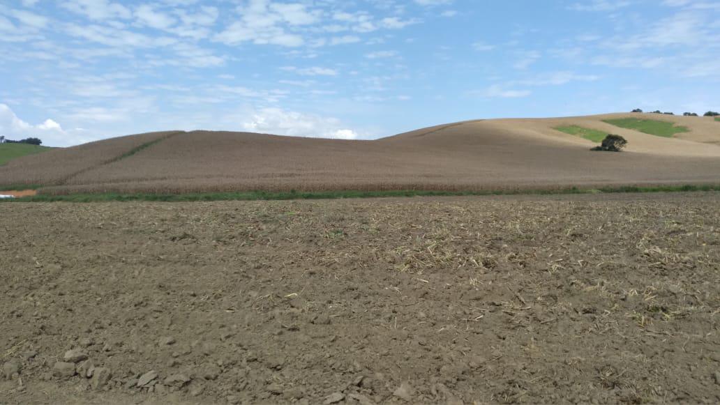 Fazenda, Dos Campos, 3 Quartos, 5 Vagas