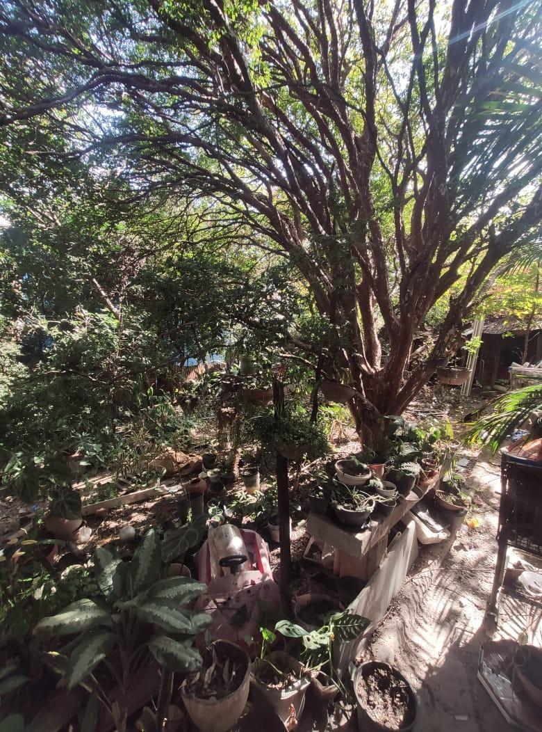 Casa, Boa Vista, 1 Quarto, 0 Vaga