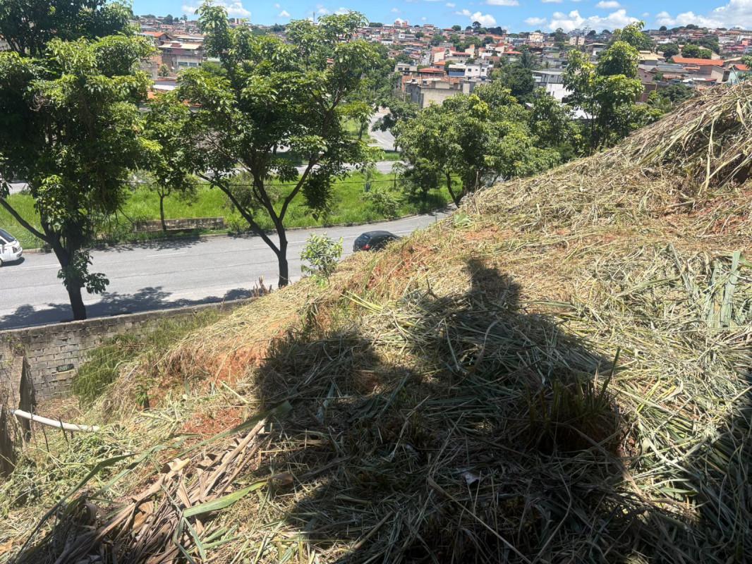 Lote, Santa Mônica, 0 Quarto, 0 Vaga