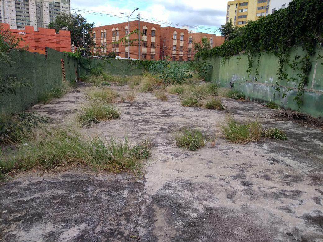 Lote, São Luiz (pampulha)