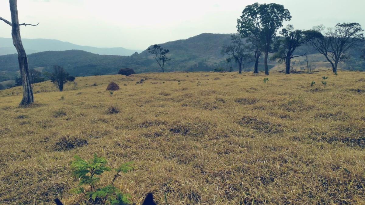 Fazenda, Zona Rural, 0 Quarto, 0 Vaga