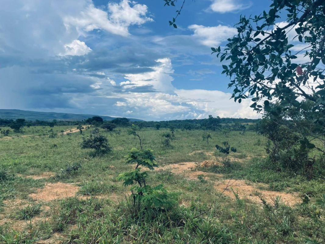 Lote, Centro, 1 Quarto, 0 Vaga