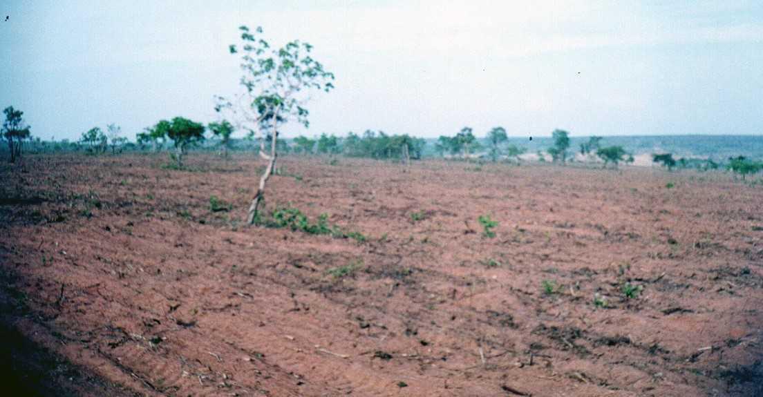 Fazenda, Zona Rural, 3 Quartos, 0 Vaga