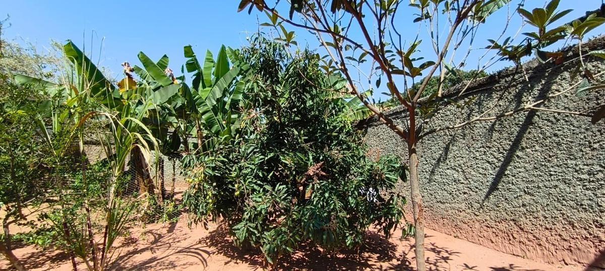 Lote, São Bernardo, 0 Quarto, 0 Vaga
