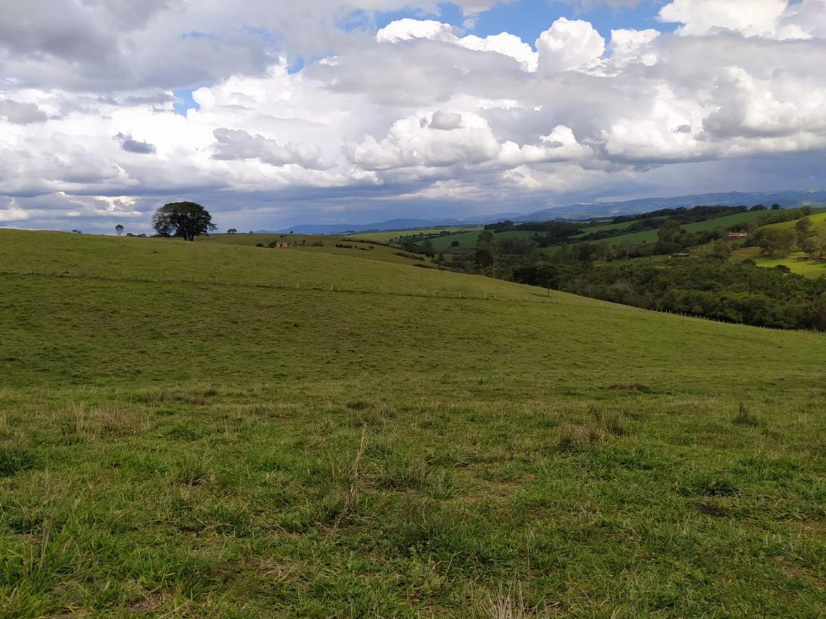 Fazenda, Centro, 1 Quarto, 1 Vaga