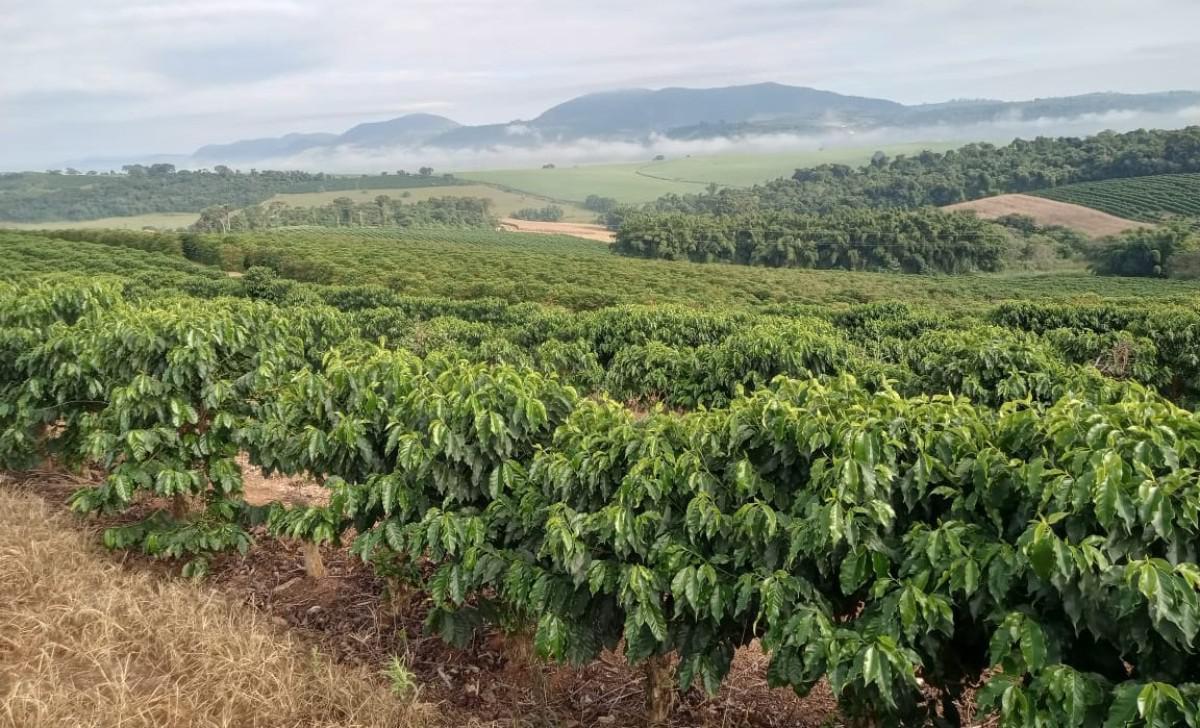 Fazenda, Zona Rural, 0 Quarto, 0 Vaga