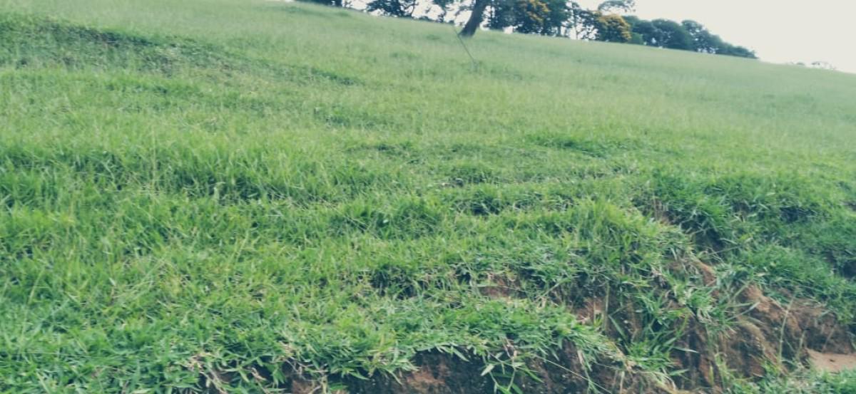Fazenda, Zona Rural, 3 Quartos, 0 Vaga