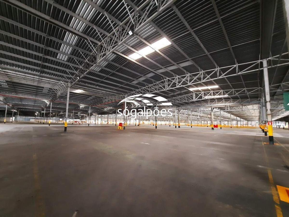 Galpão, Universitário