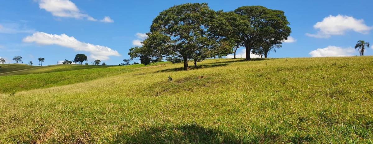 Fazenda, Centro, 4 Quartos, 2 Vagas, 1 Suíte