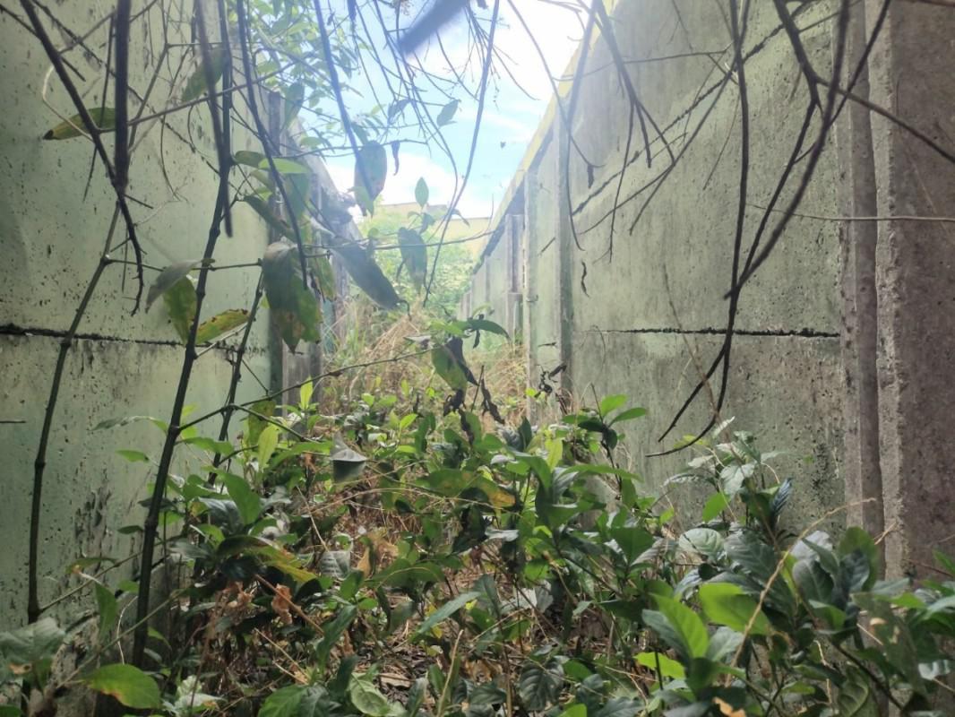Lote, Novo Progresso, 0 Quarto, 0 Vaga