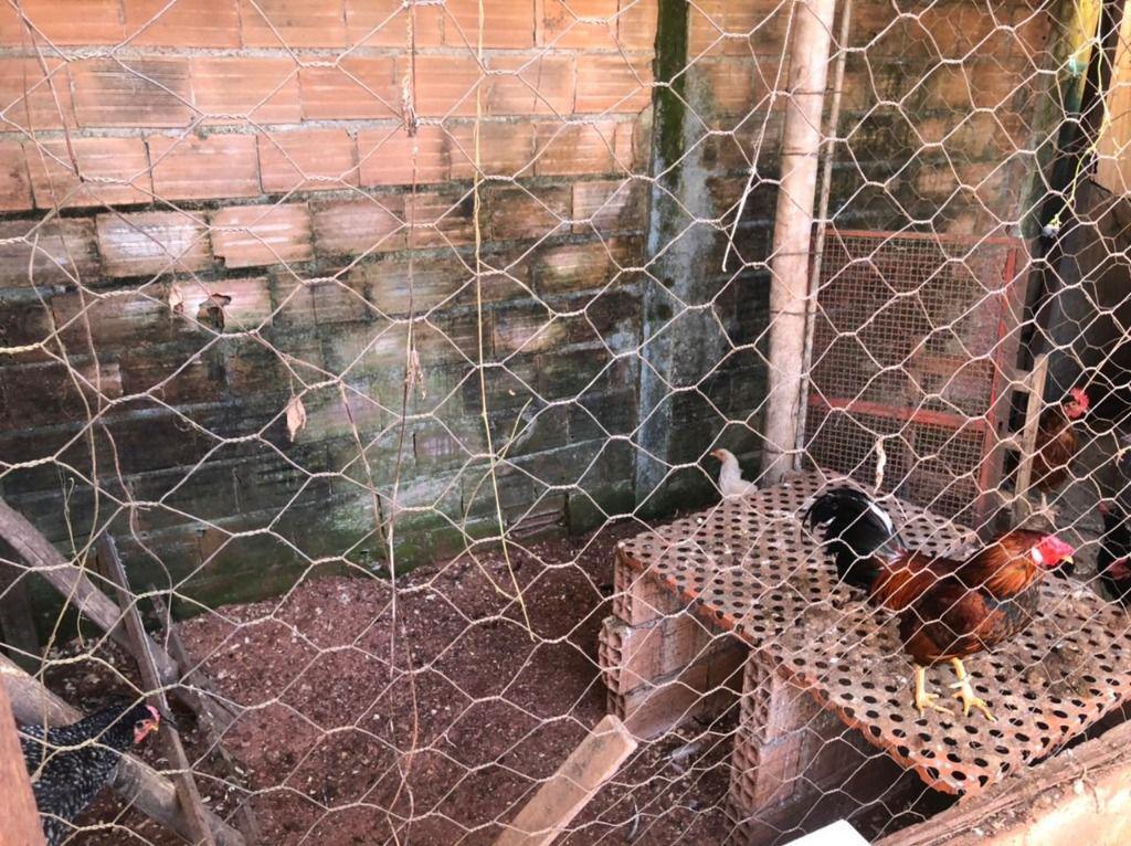 Casa, Mangueiras, 2 Quartos, 3 Vagas