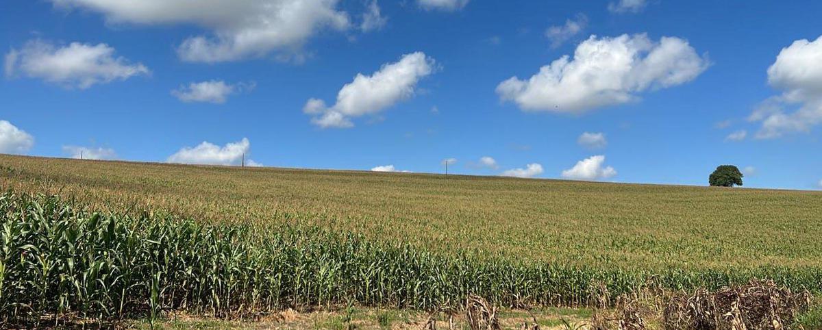 Fazenda, Zona Rural, 3 Quartos, 1 Vaga