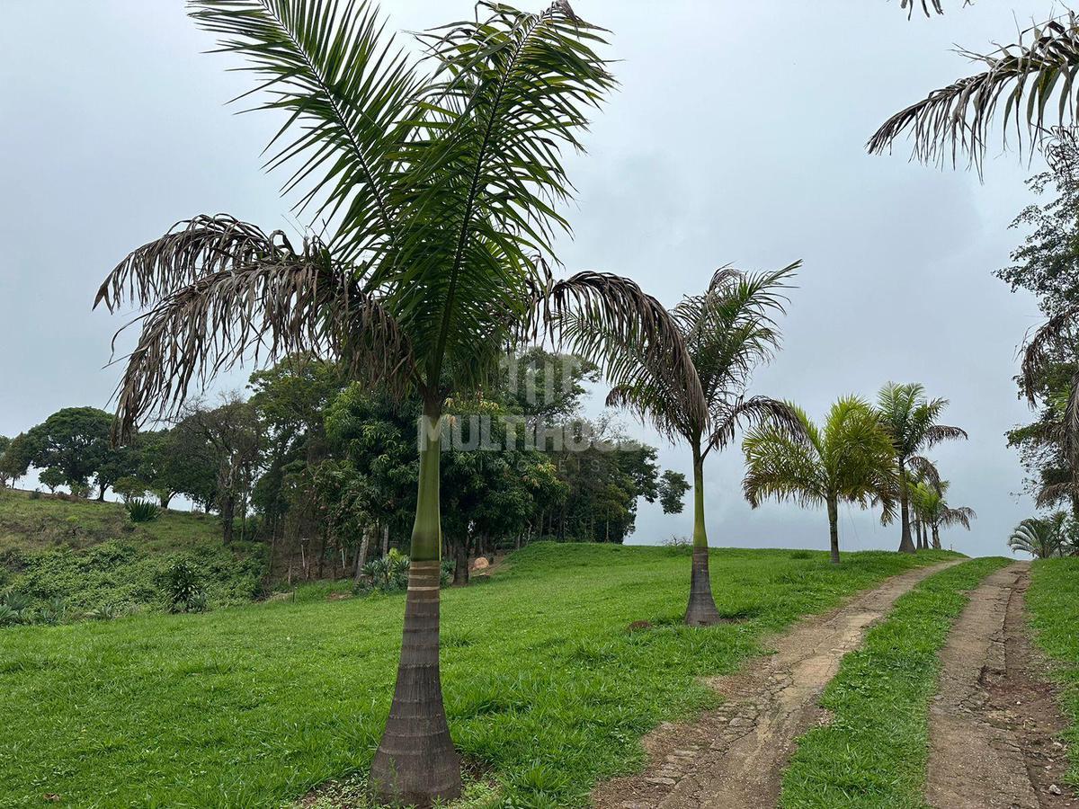 Fazenda, Vila Tavares, 0 Quarto, 0 Vaga