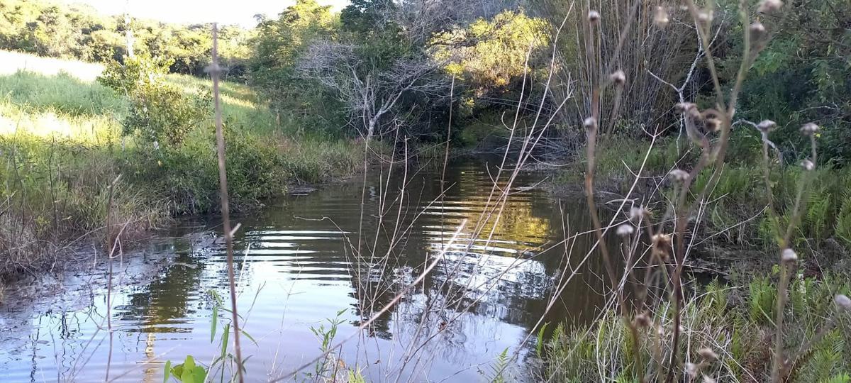 Fazenda, Zona Rural, 3 Quartos, 0 Vaga
