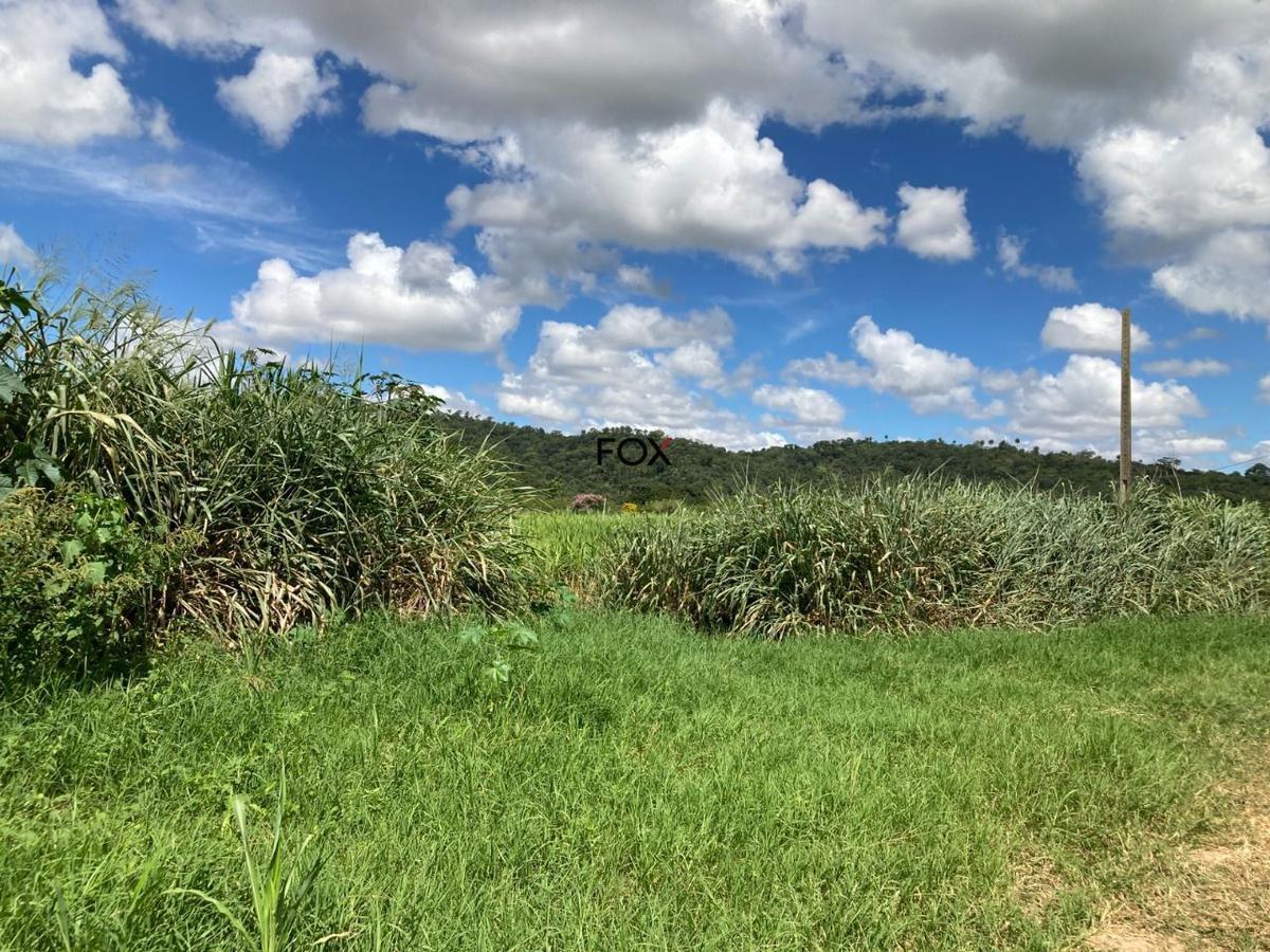 Lote, Inácia de Carvalho, 0 Quarto, 0 Vaga